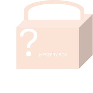 MYSTERY BOX-Assorted Handbags